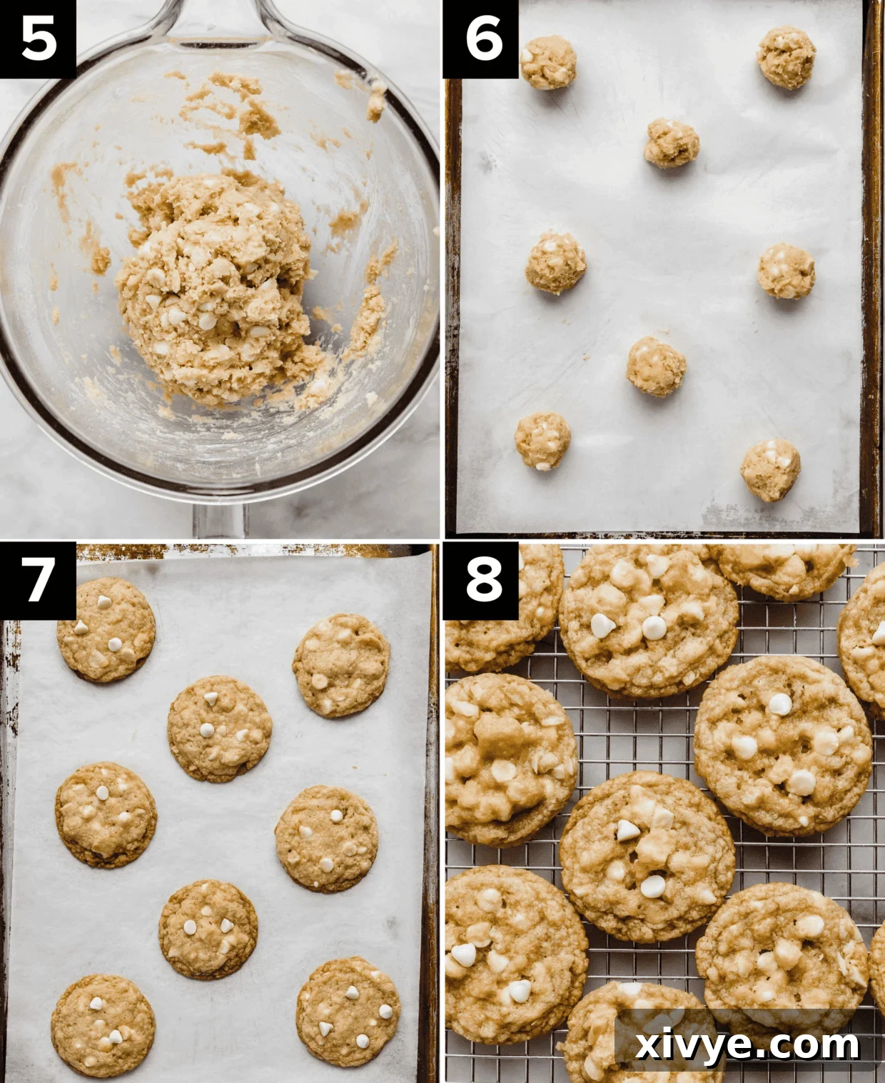 Gourmet White Chocolate Macadamia Treats 5 Top left image is White Chocolate Macadamia Nut Cookie dough in a glass bowl, top right is macadamia nut white chocolate chip cookie balls on a baking sheet, bottom left photo is baked white chocolate and macadamia nut cookies on a cookie sheet, and bottom right image is White Chocolate Macadamia Nut Cookies on a cooling rack.