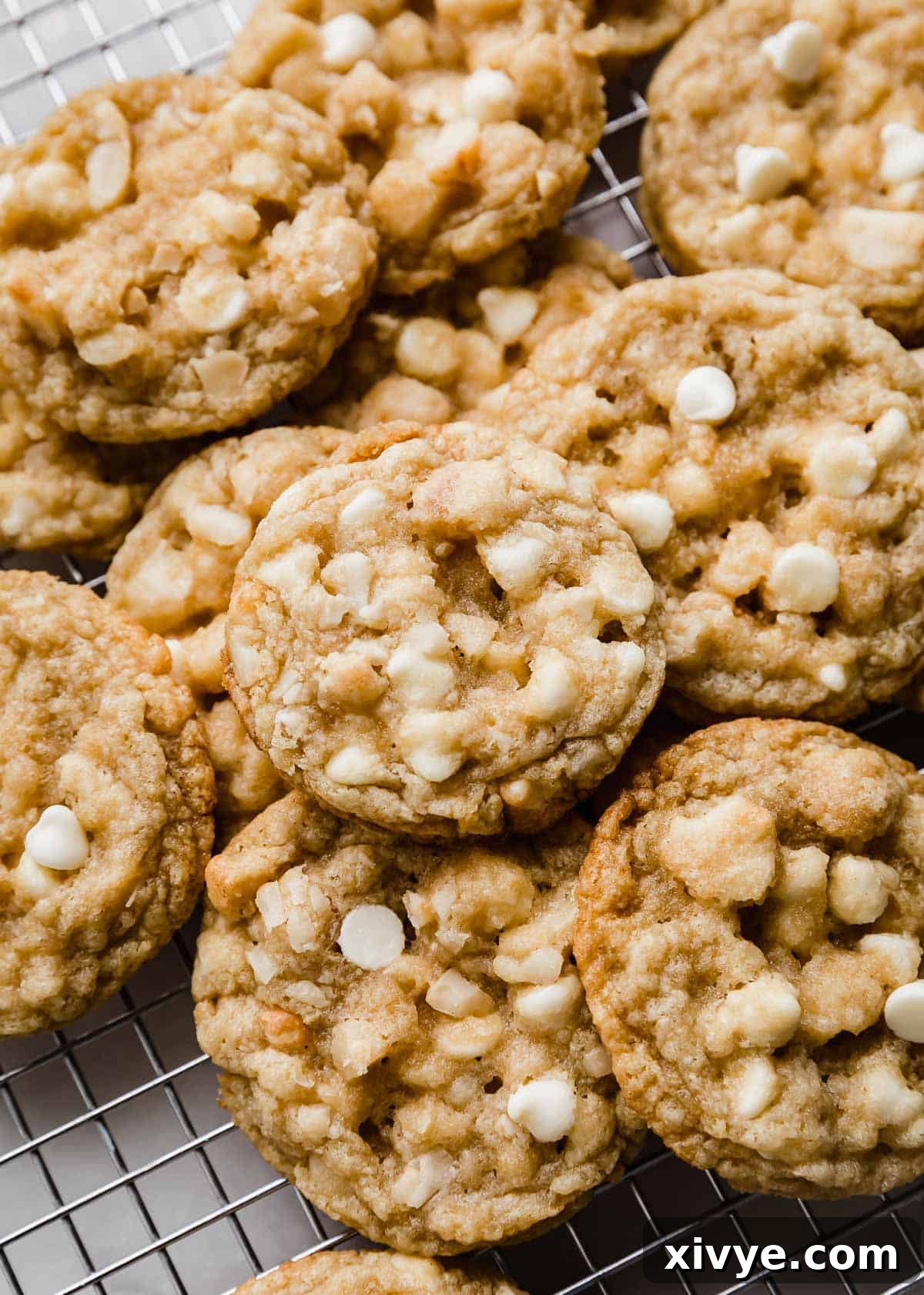 Gourmet White Chocolate Macadamia Treats 6 White Chocolate Macadamia Nut Cookies on a cooling rack.
