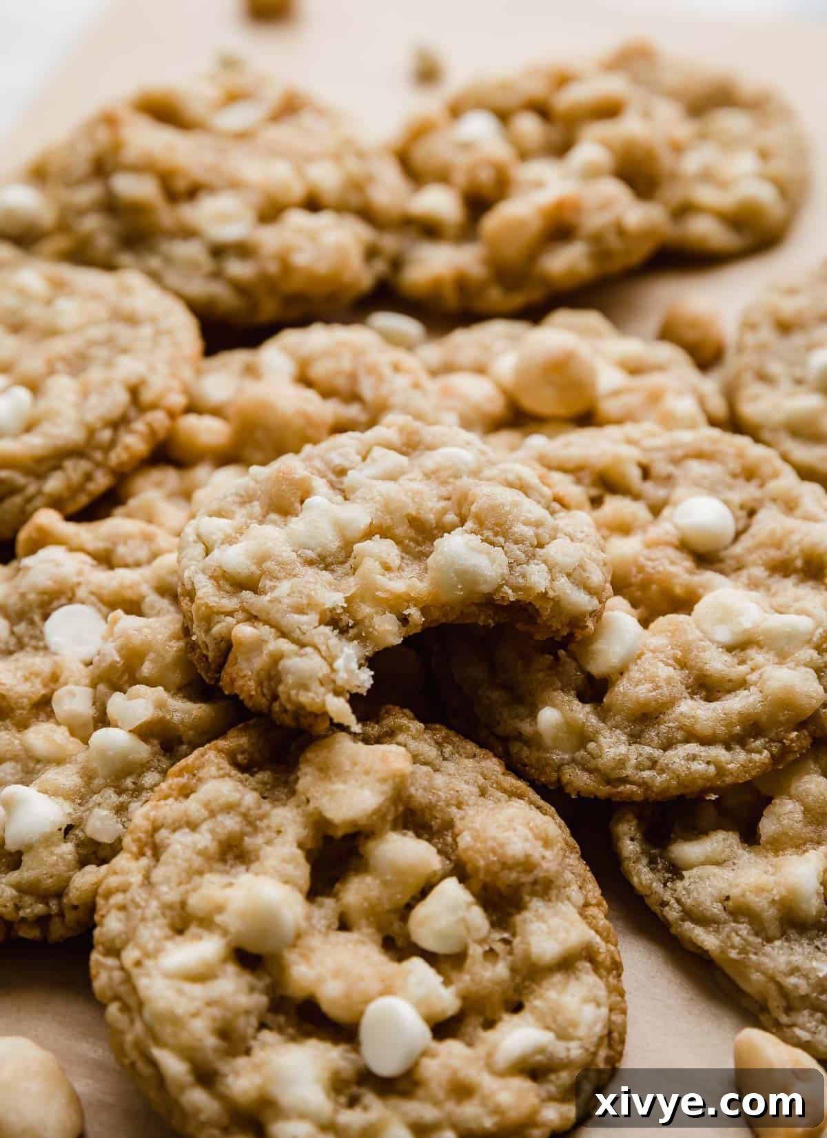 Gourmet White Chocolate Macadamia Treats 7 A White Chocolate Macadamia Nut Cookie with a bite taken out of it, stacked on a small pile of other macadamia nut white chocolate chip cookies.