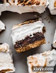 Gooey Campfire Brownies 11 S'mores Brownies with a toasted homemade marshmallow cream and graham cracker crust on a white surface background.