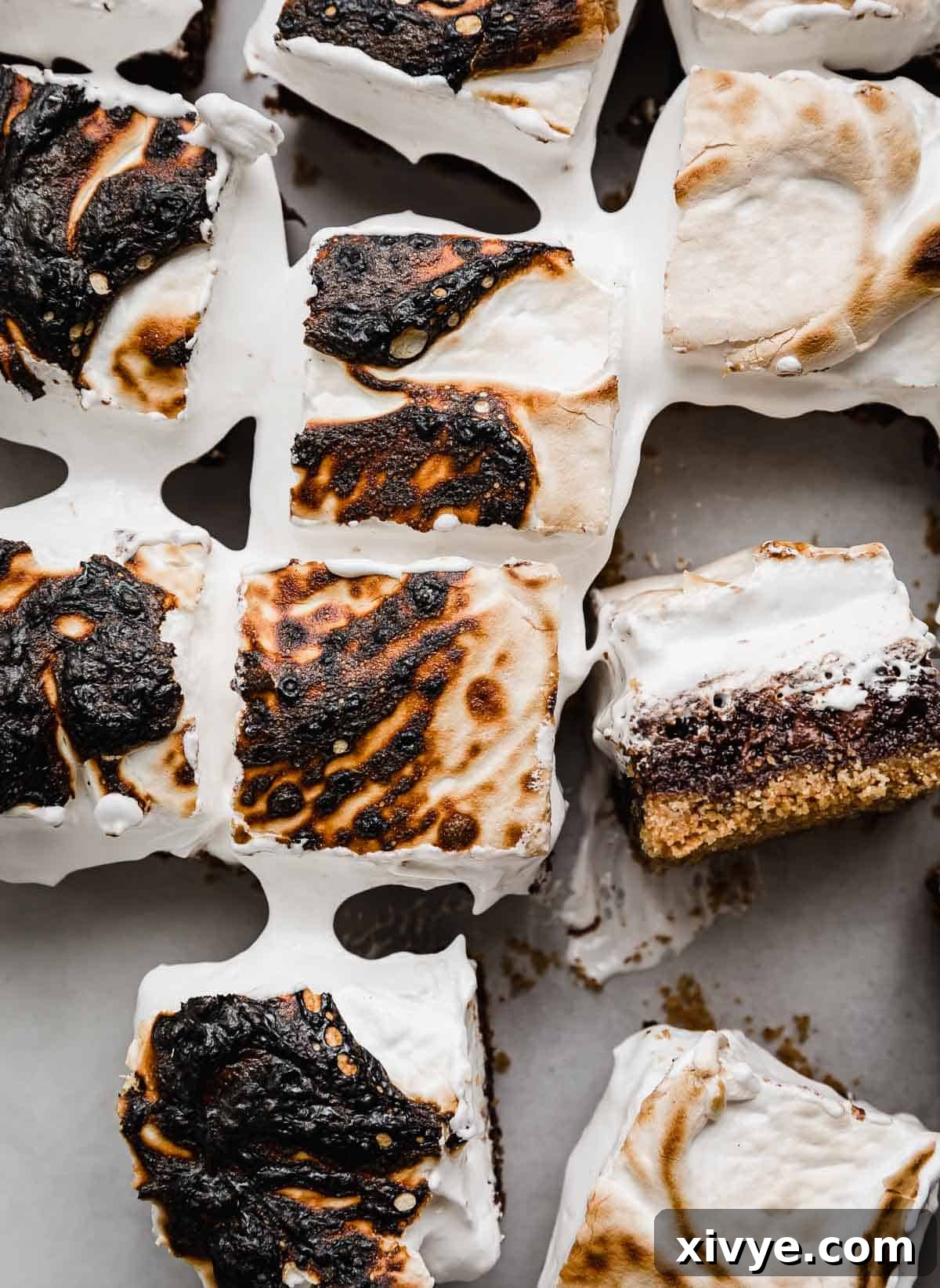 Gooey Campfire Brownies 8 Overhead photo of toasted S'mores Brownies cut into squares on a white surface, ready to be enjoyed.