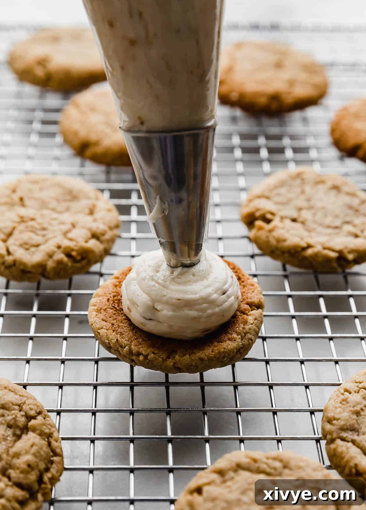 The best marshmallow buttercream frosting being piped onto a graham cracker cookie, showcasing its perfect texture for decoration.