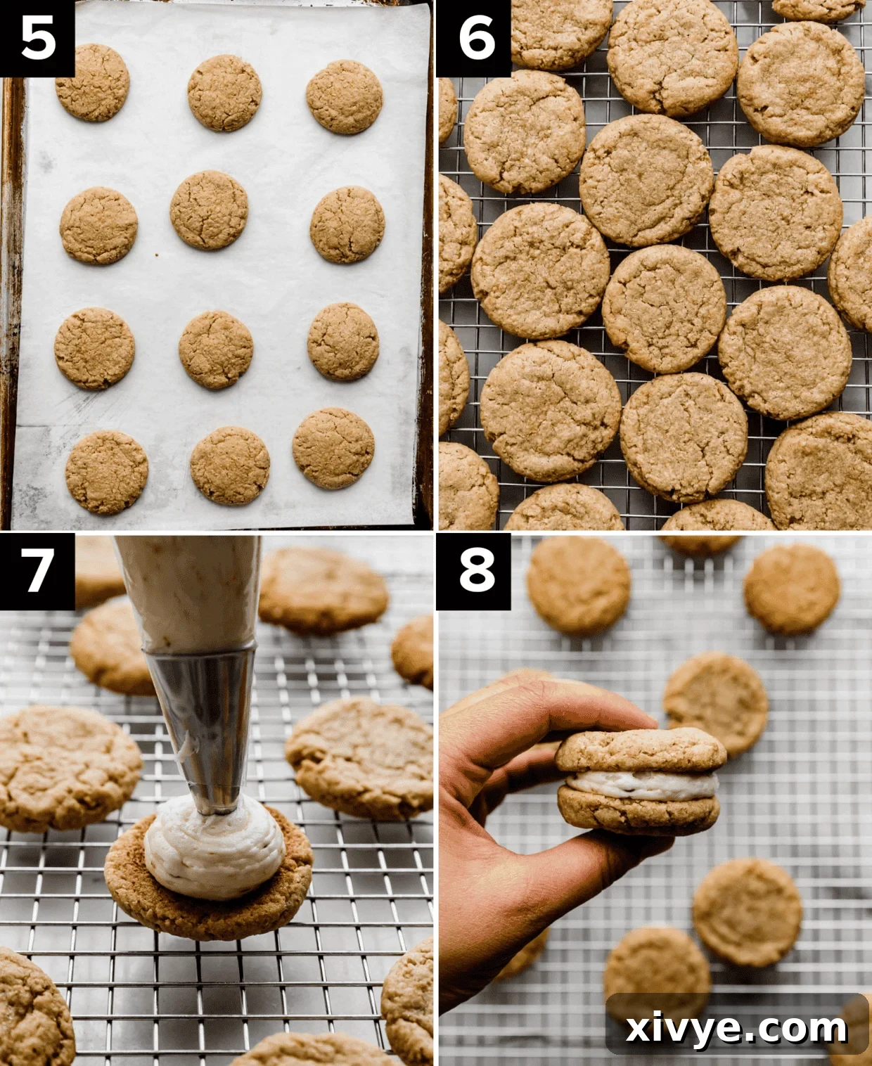 Four photos, top left image is baked graham cracker cookies on a baking sheet, top right image is tan cookies on wire cooling rack, bottom left image is marshmallow frosting being piped on the backside of a cookie, and bottom right photo is a hand squishing a S'mores Sandwich Cookie together.
