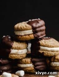 S'mores Sandwich Cookies halfway dipped in melted chocolate against a dark black background.