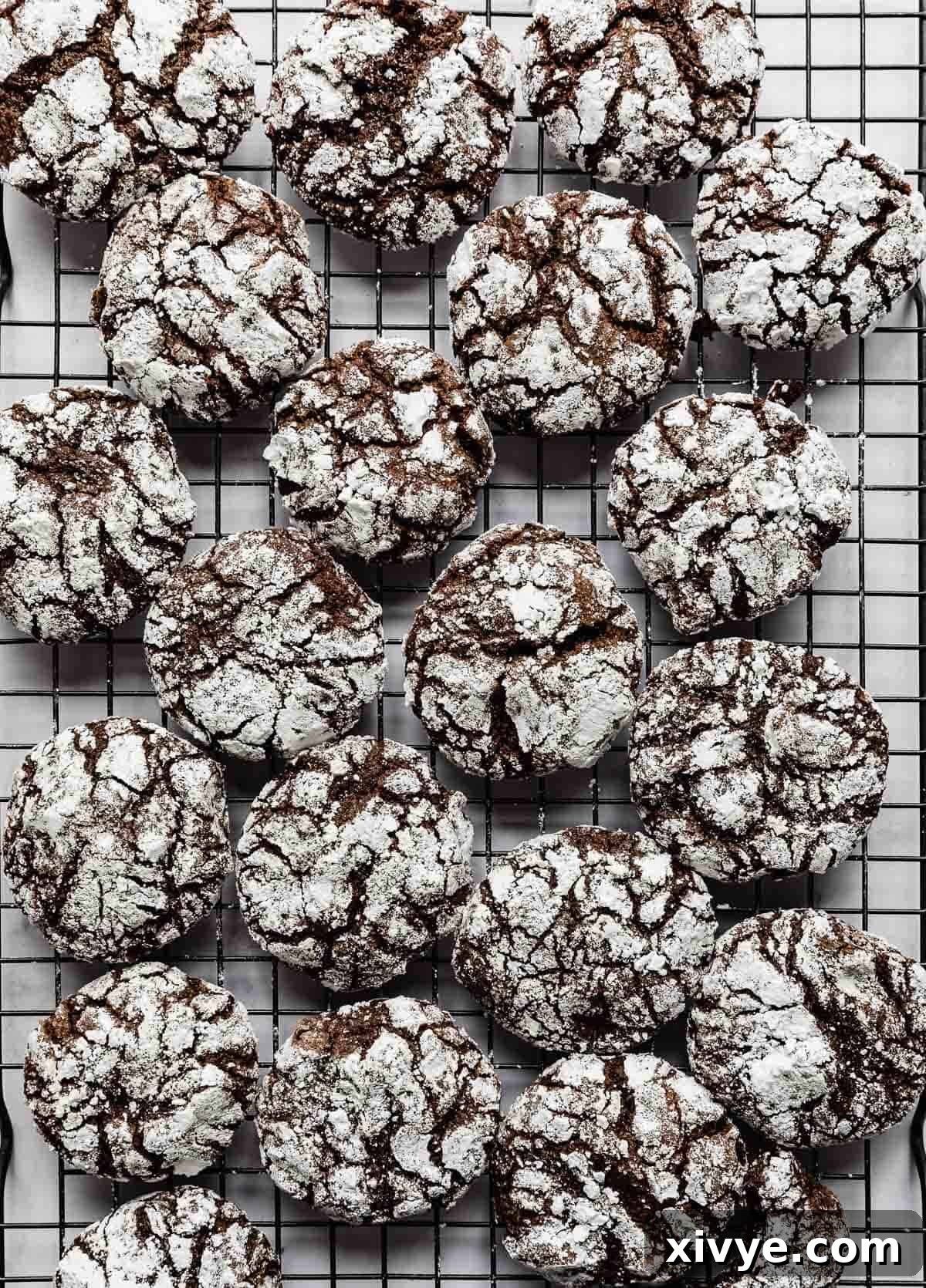 Freshly baked Chocolate Crinkle Cookies cooling on a black wire rack, showcasing their distinctive crackled tops.