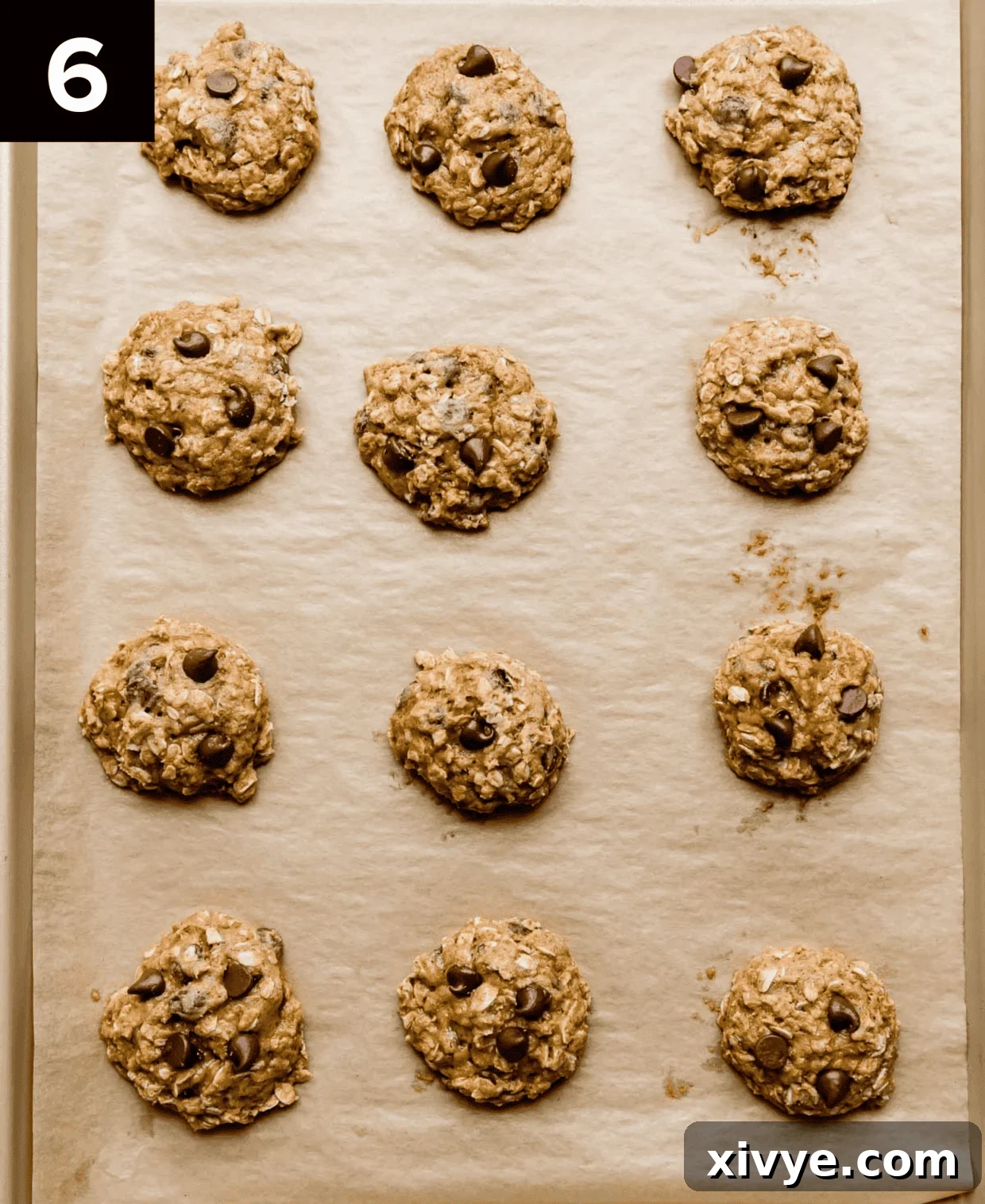 Warm Spiced Pumpkin Oat Chocolate Chip Delights 6 Baked Chocolate Chip Oatmeal Pumpkin Cookies on a baking tray.