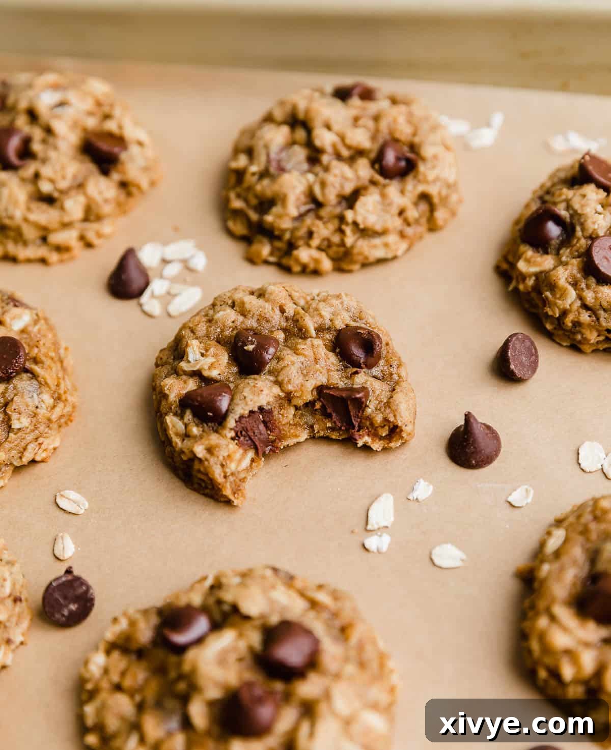 Warm Spiced Pumpkin Oat Chocolate Chip Delights 7 A Chocolate Chip Oatmeal Pumpkin Cookie with a bite taken out of the cookie, on a Kraft parchment lined baking sheet.