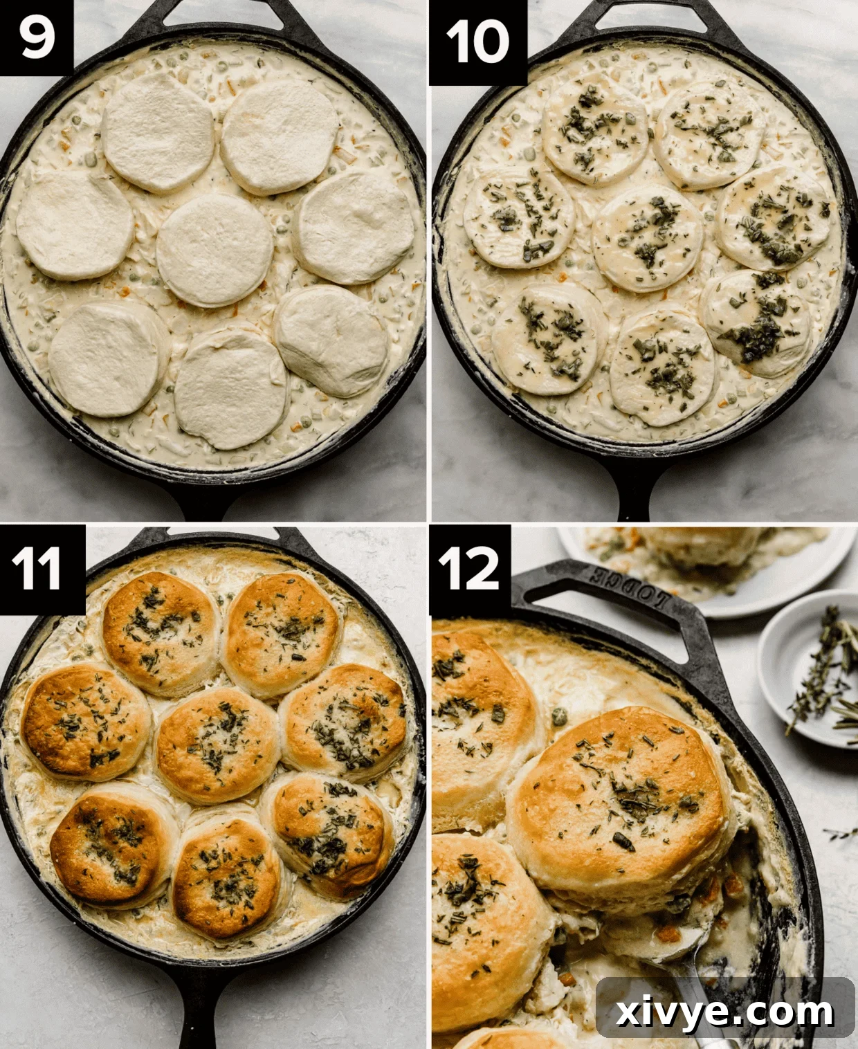 Golden-Crusted Skillet Chicken Pot Pie 6 Raw biscuit dough on top of chicken pot pie mixture in a cast iron skillet (top left), herb butter topped raw biscuits over pot pie mixture (top right), baked Cast Iron Chicken Pot Pie on white background (bottom left), close up of golden brown herb covered biscuit in a cast iron skillet (bottom right).
