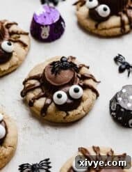 Halloween Spider Cookies on a light gray surface.