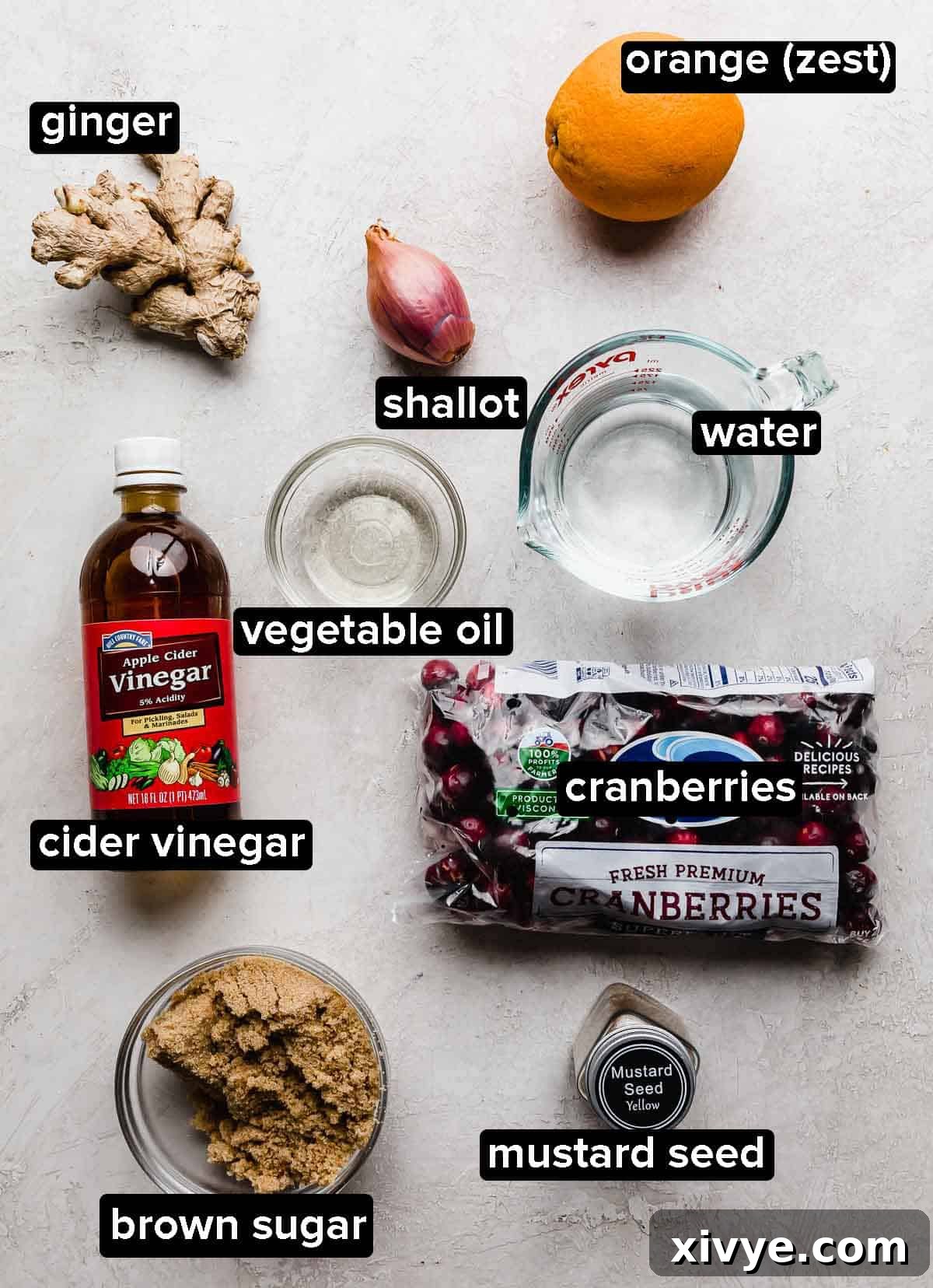 Cranberry chutney ingredients on a light gray background.