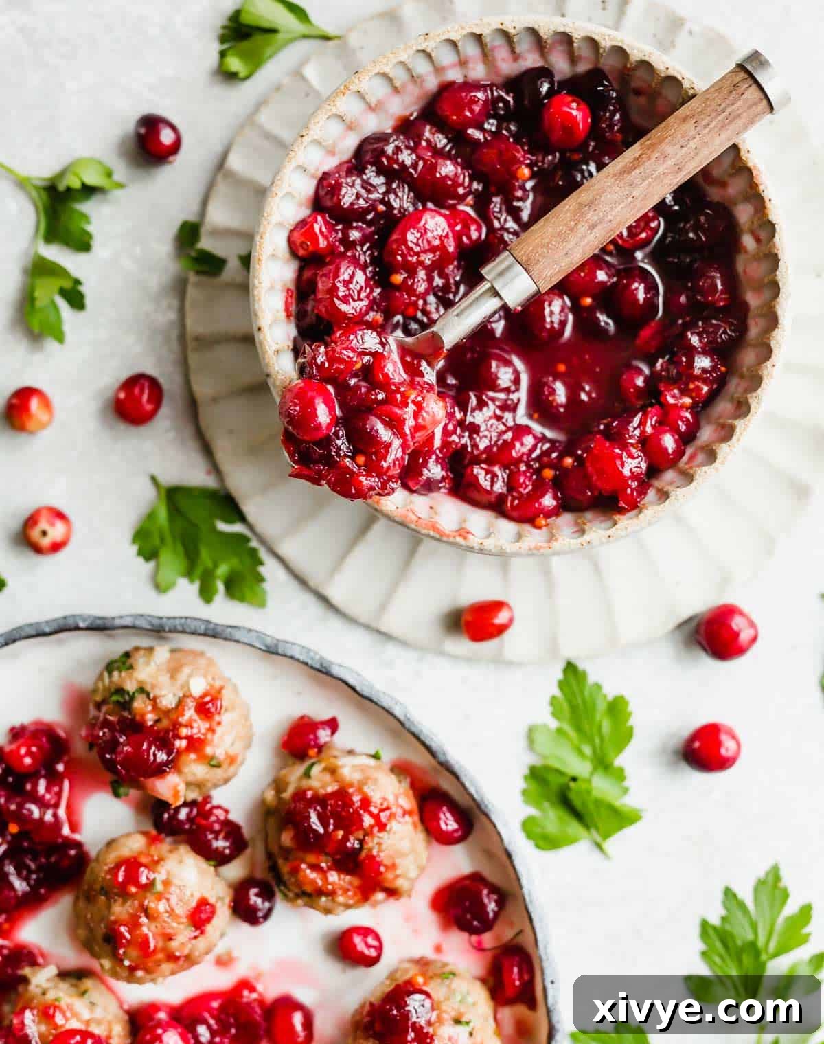 A bowl filled with homemade cranberry chutney.