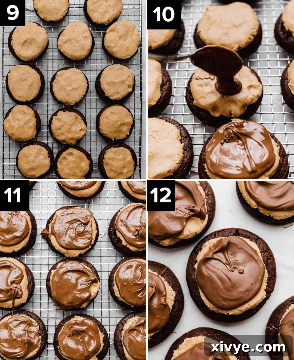 How to make Buckeye Cookies: peanut butter topped brownie cookies on wire rack (top left), melted chocolate drizzled on top of Buckeye Cookies (top right), chocolate topped Buckeye brownie Cookies on cooling rack (bottom left), finished Buckeye Cookies on white surface (bottom right).