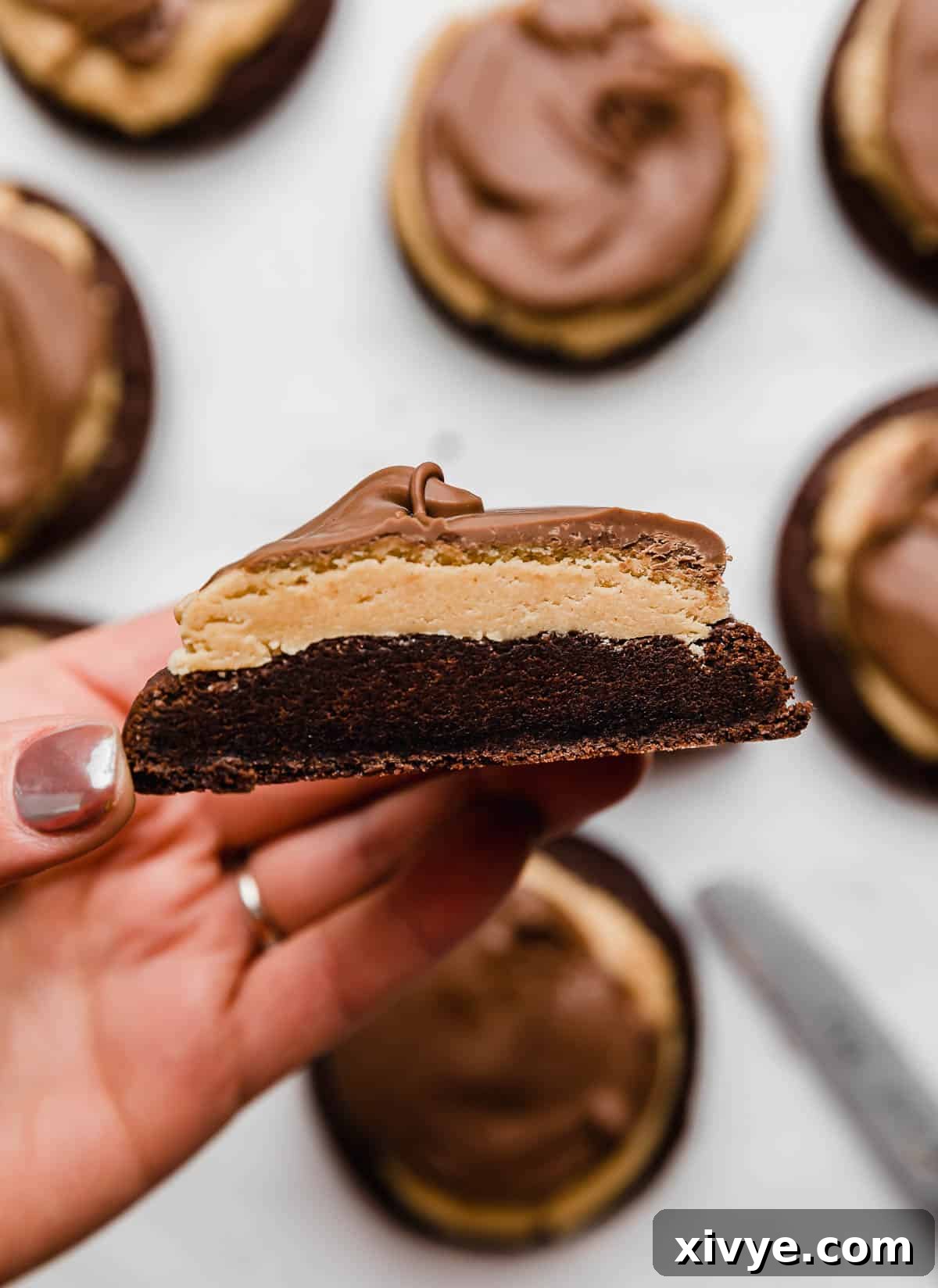 A hand holding a Buckeye Cookie that has been cut in half.