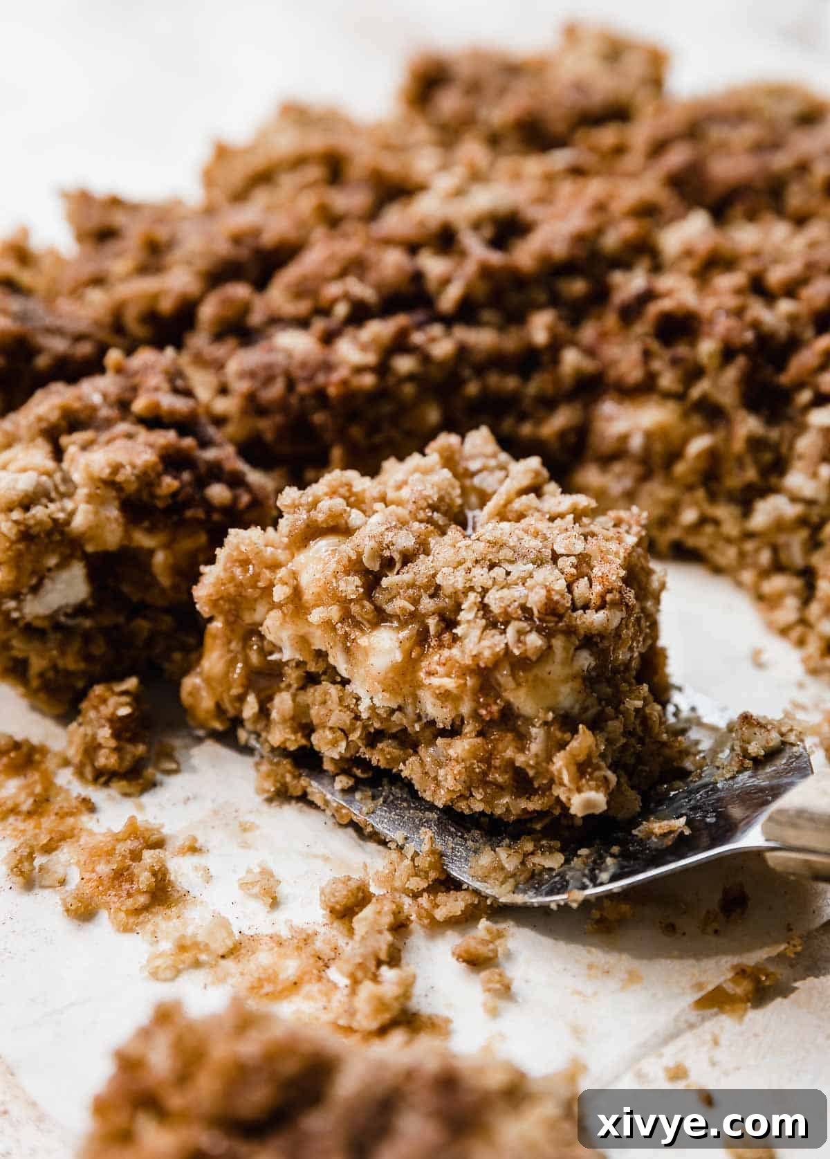 A snickerdoodle caramelita cut into squares.