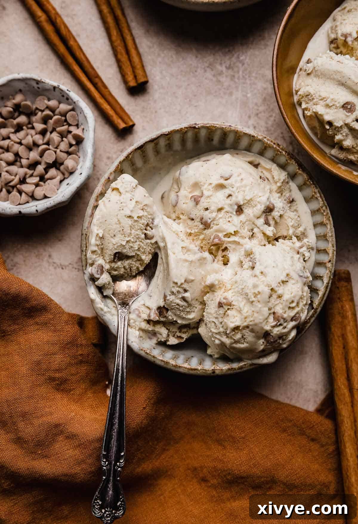 Spiced Cinnamon Delight 2 Cinnamon Chip Ice Cream in a pottery bowl on a light brown textured background with a spoon scooping out some of the creamy ice cream.