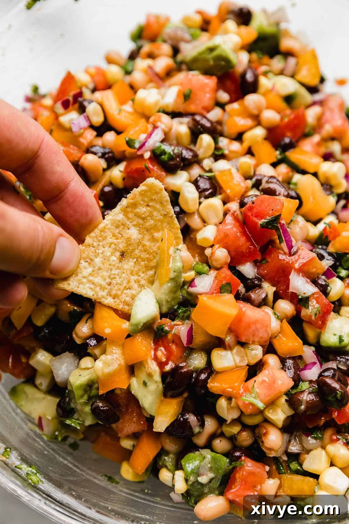 Vibrant Tex Mex Fiesta Salad 2 Texas caviar (diced tomatoes, peppers, beans, cilantro, and onion) in a glass bowl with a hand dipping a tortilla chip into the cowboy caviar recipe.