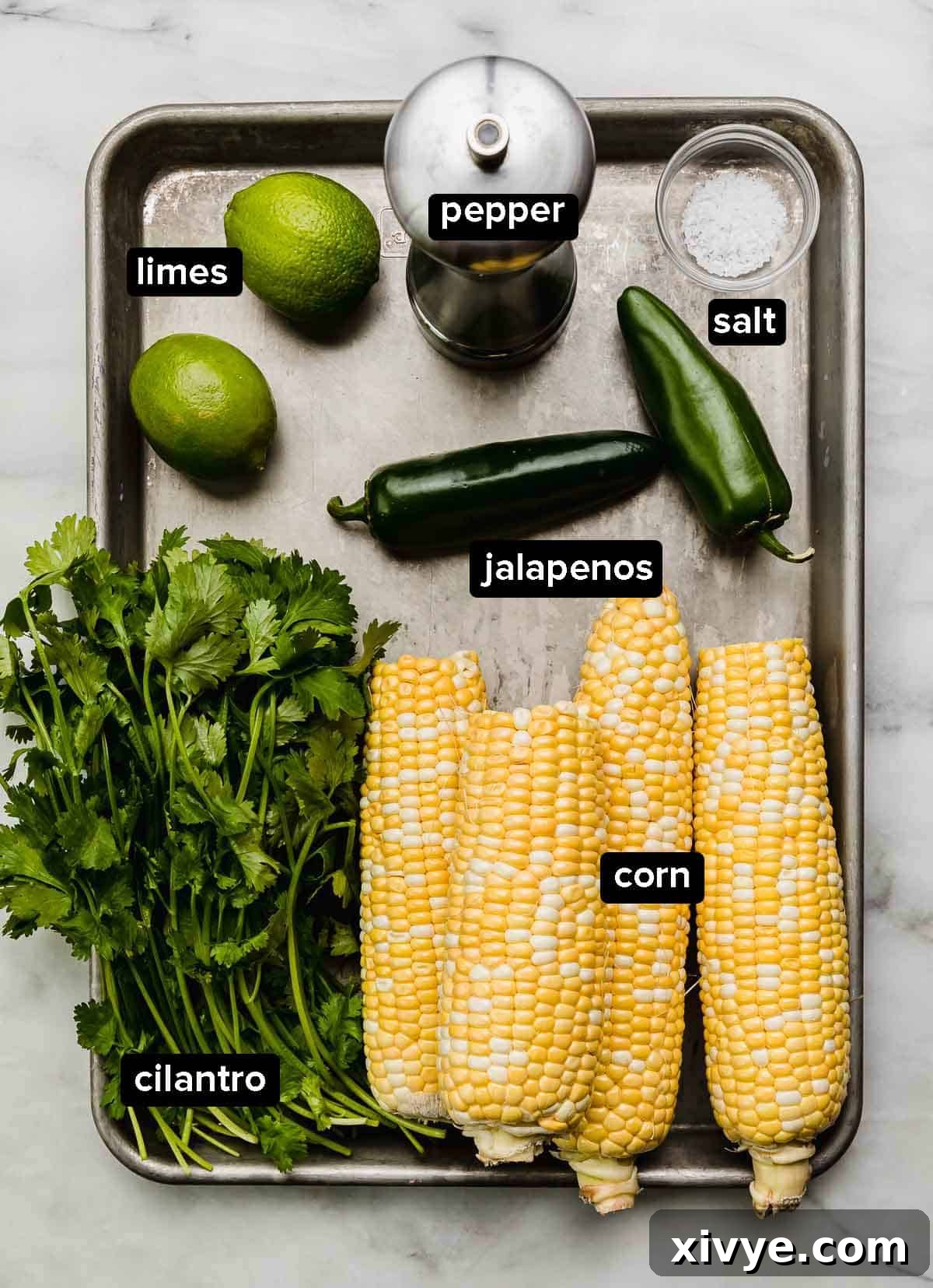 Corn salsa recipe ingredients on a silver baking sheet: fresh corn on the cob, cilantro, jalapeños, limes, and salt and pepper.