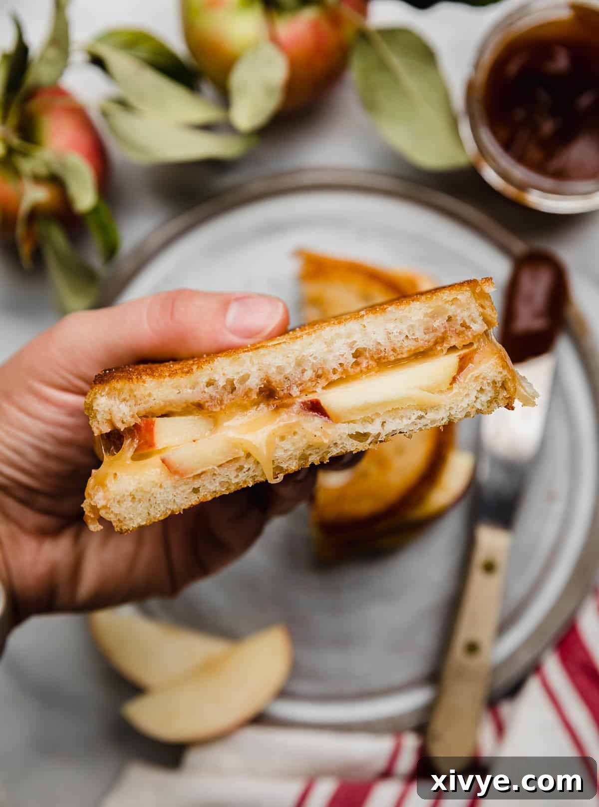 Crispy Apple Cheese Melt 6 A hand holding a half of a sandwich made with sliced apples and melted cheese.