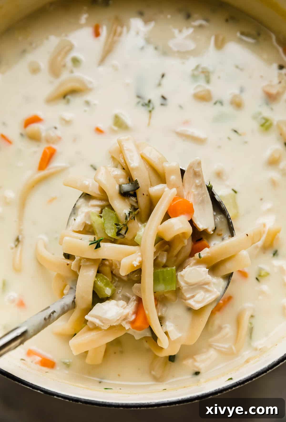A metal ladle expertly scooping a generous portion of steaming homemade creamy chicken noodle soup from a robust Dutch oven, highlighting its rich texture and ample ingredients.