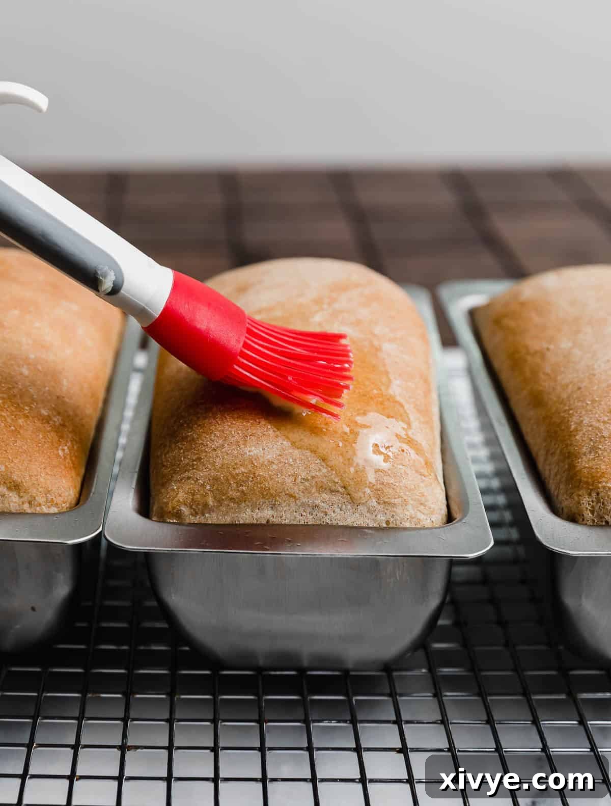 Fifty-Fifty White and Whole Wheat Bread 12 A red pastry brush brushing butter overtop 50/50 bread in a bread pan.