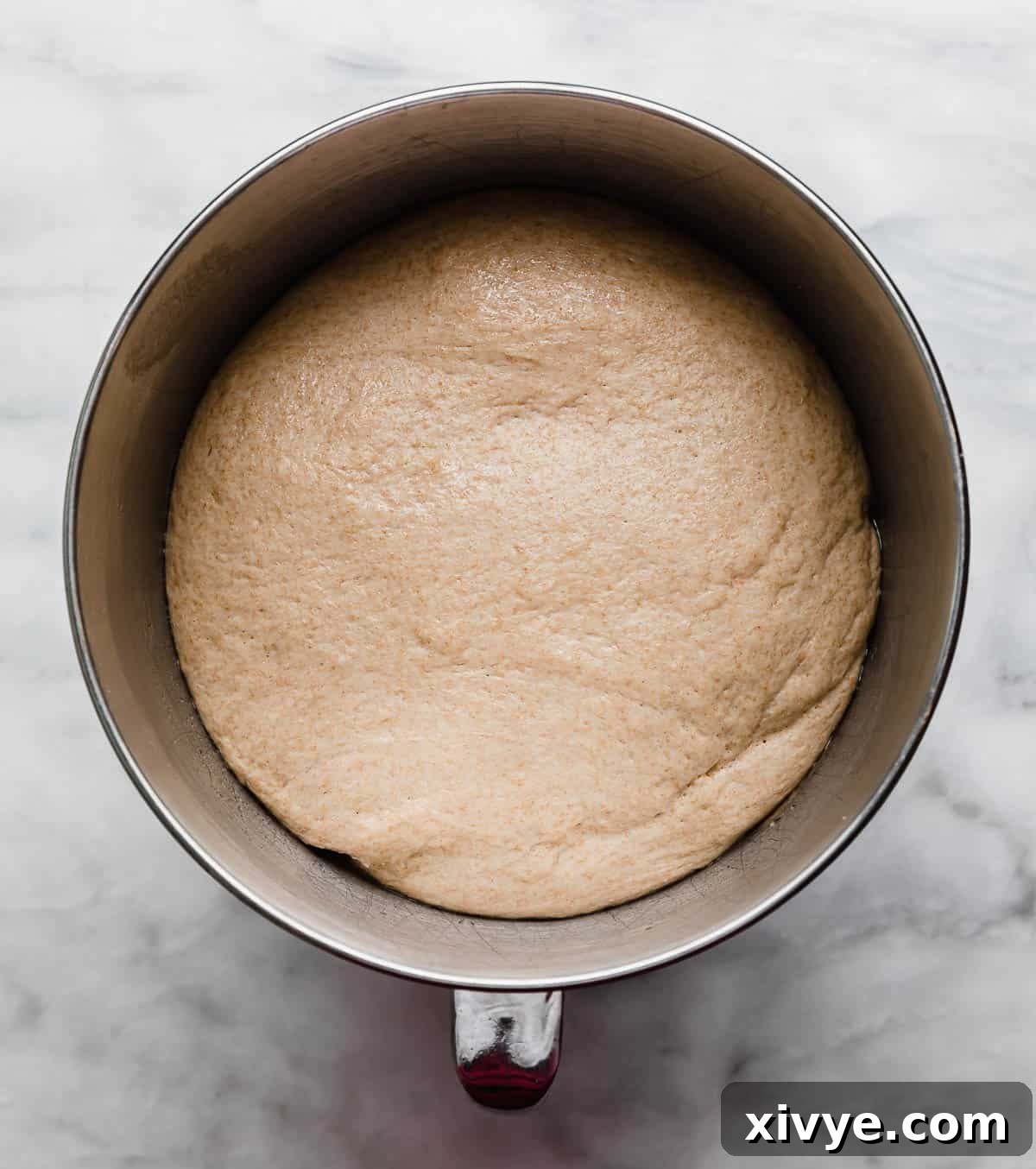 Fifty-Fifty White and Whole Wheat Bread 8 Half white, half wheat bread dough, risen in a silver mixing bowl.