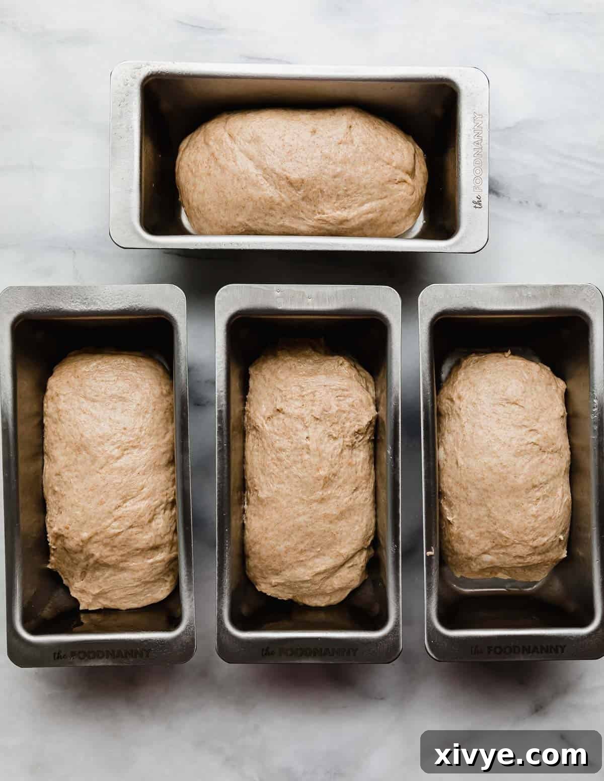 Fifty-Fifty White and Whole Wheat Bread 10 Four mini loaf pans with white/wheat bread dough in each pan.