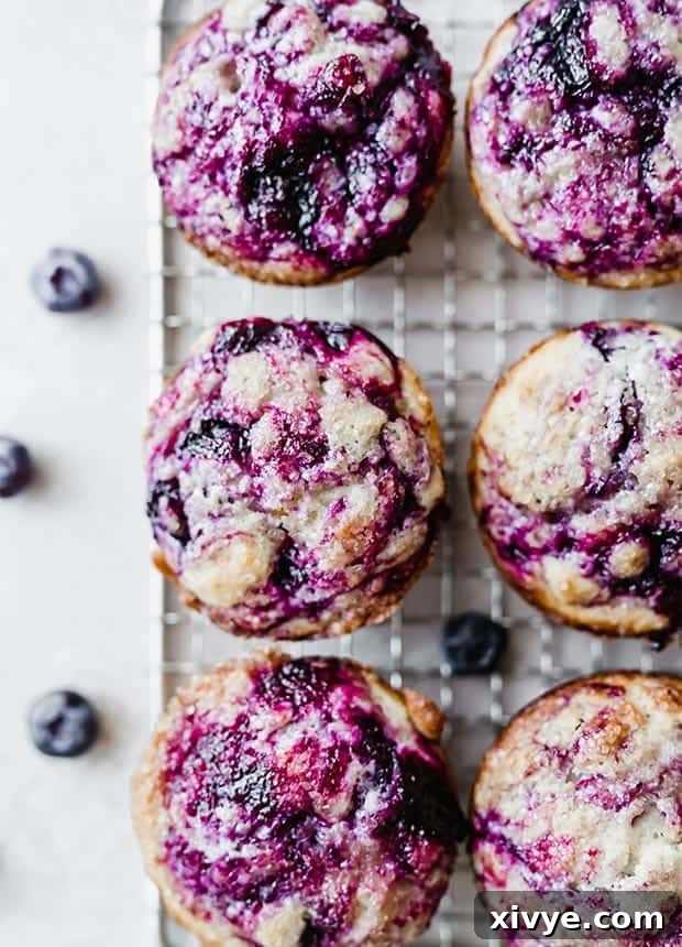 Sunrise Buttermilk Blueberry Muffins 2 Overhead photo of delicious buttermilk blueberry muffins, showcasing their golden tops and tender crumb.