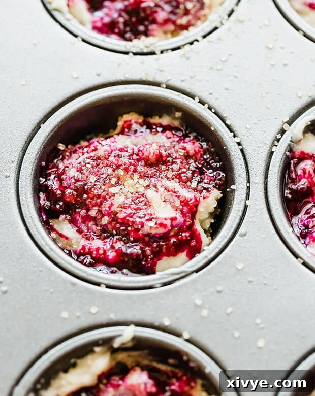 Sunrise Buttermilk Blueberry Muffins 7 A close shot of blueberry muffin batter with blueberry compote swirled into the batter and topped with raw sugar, ready for baking.
