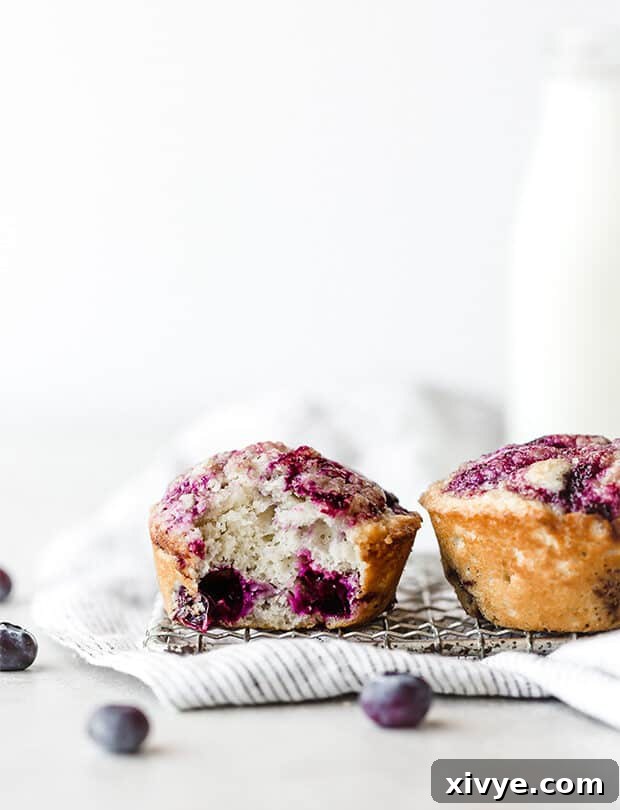 Sunrise Buttermilk Blueberry Muffins 8 Two perfectly baked buttermilk blueberry muffins side by side, one with a bite taken out, revealing the moist interior and blueberries.