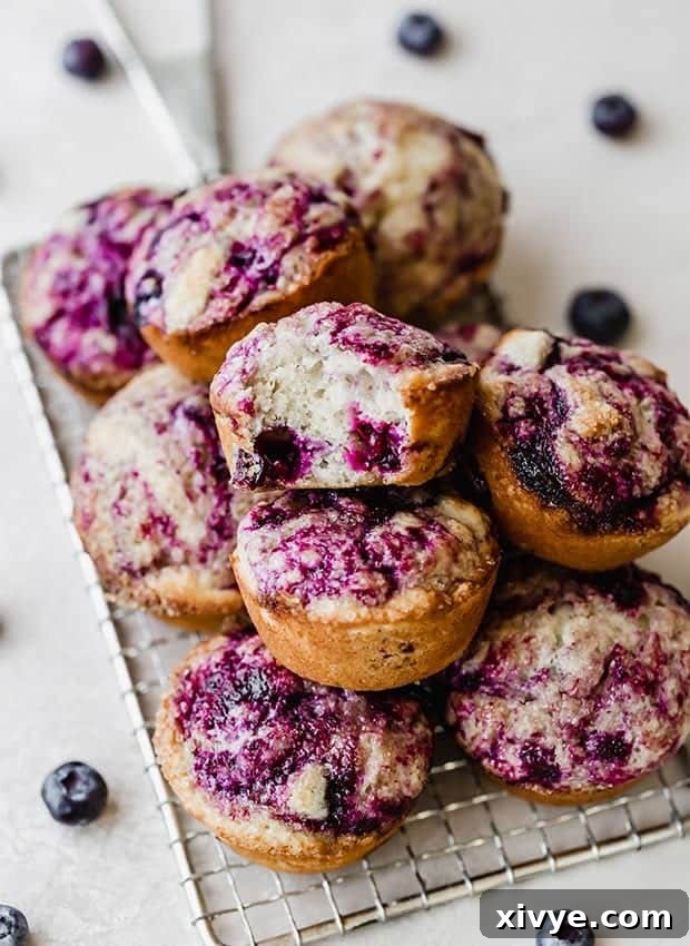 Sunrise Buttermilk Blueberry Muffins 9 A beautiful stack of perfectly baked buttermilk blueberry muffins, ready to be enjoyed.