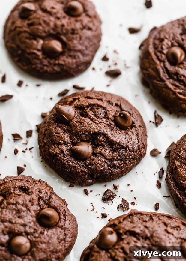 Fudgy Brownie cookies loaded with chocolate chips, presented with chocolate shavings for an extra decadent touch.