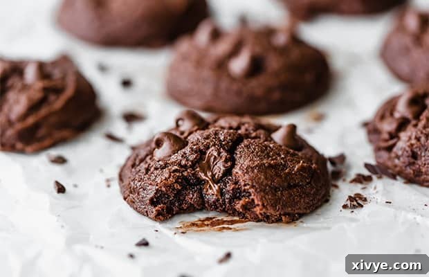 A delicious brownie cookie with a bite taken out, revealing gooey, melty chocolate chips and a rich, fudgy interior.