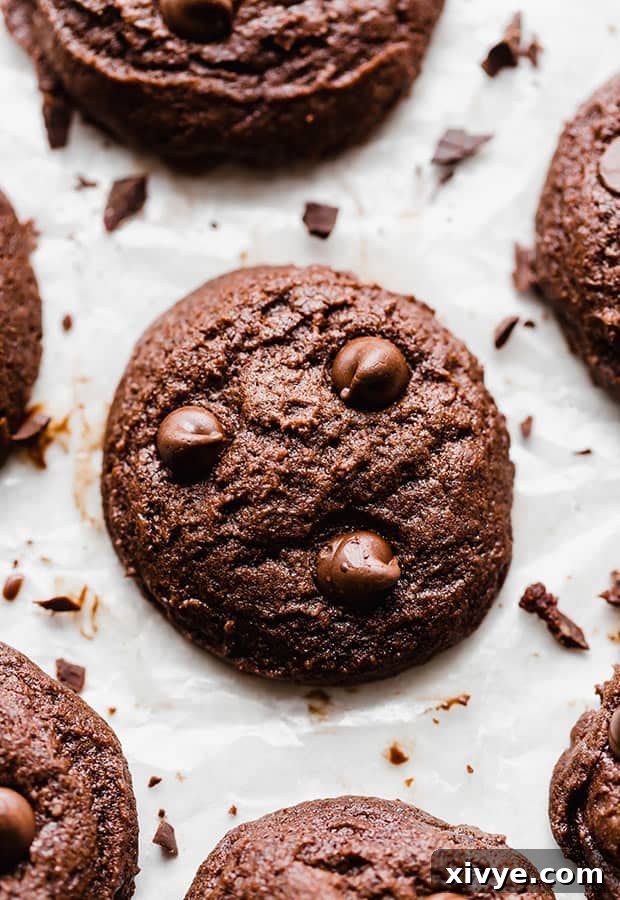 A close up photo of a single brownie cookie, rich in chocolate, surrounded by finely chopped chocolate pieces.