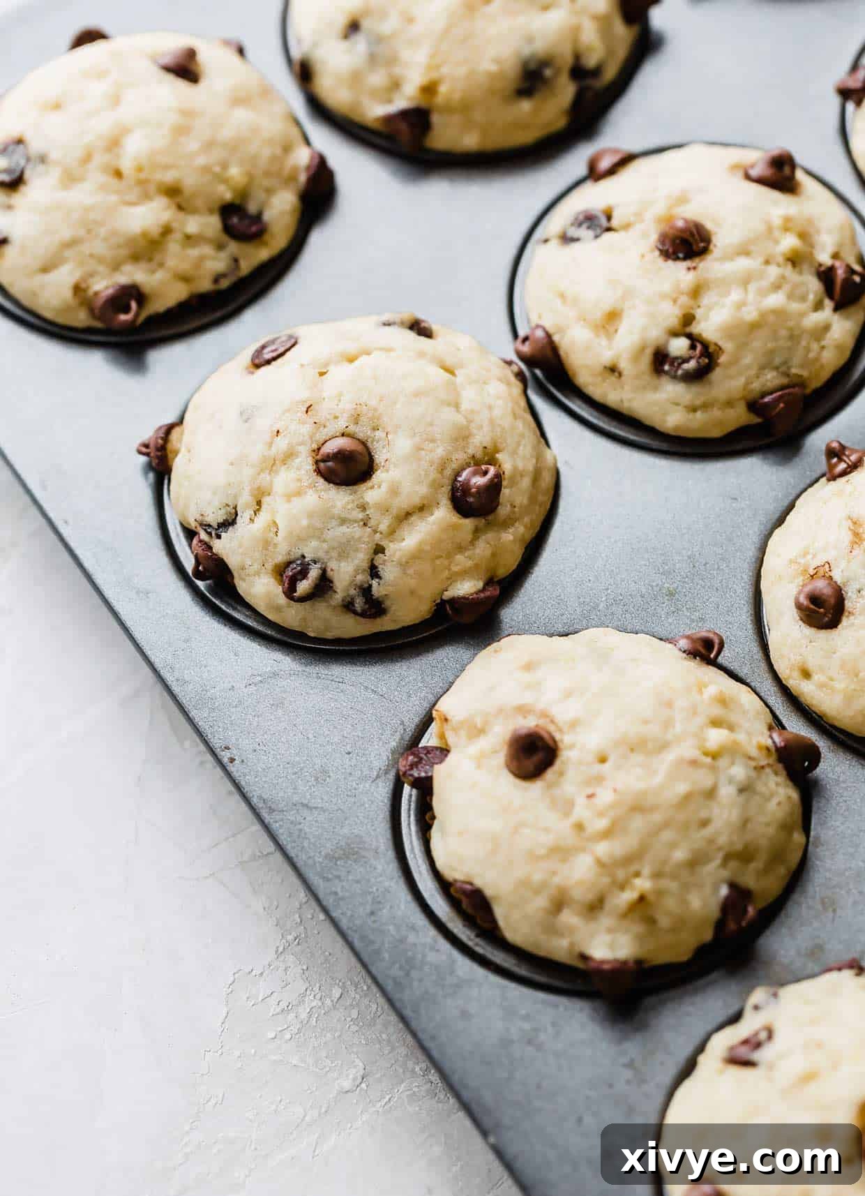 Freshly baked buttermilk banana chocolate chip muffins, golden and perfectly domed, still warm in the muffin tin, with glistening melted chocolate chips on top.