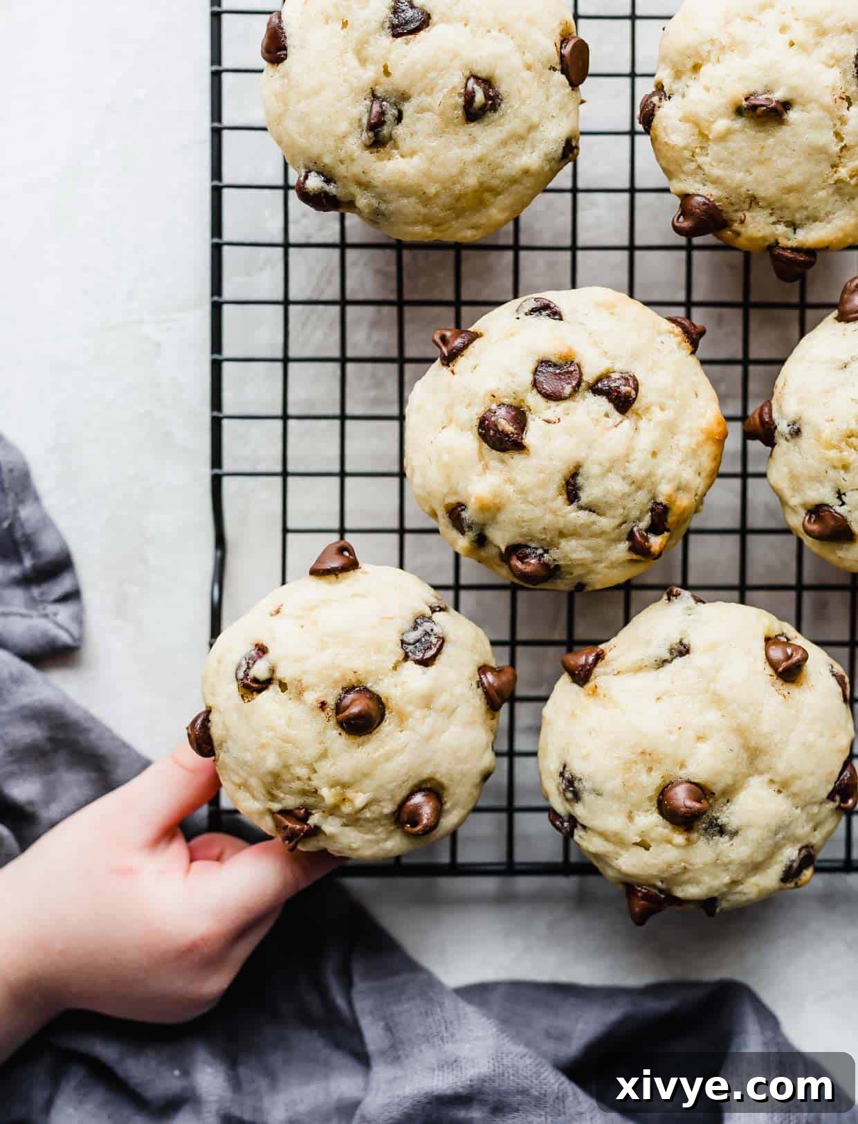 A small child's hand reaching for a warm, freshly baked buttermilk banana chocolate chip muffin cooling on a wire rack, against a soft, blurred background, highlighting its inviting texture.