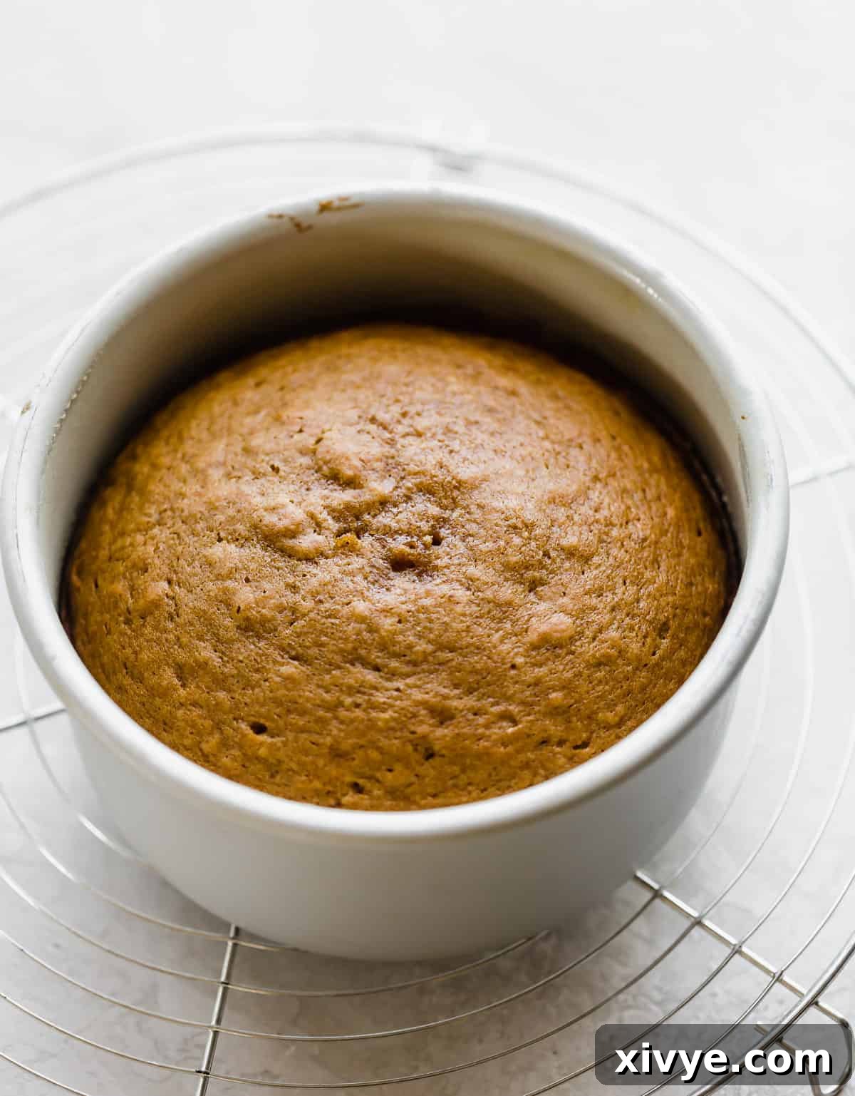A single baked pumpkin cake layer still in its round cake pan, featuring a golden-brown top and a slightly risen, soft texture.