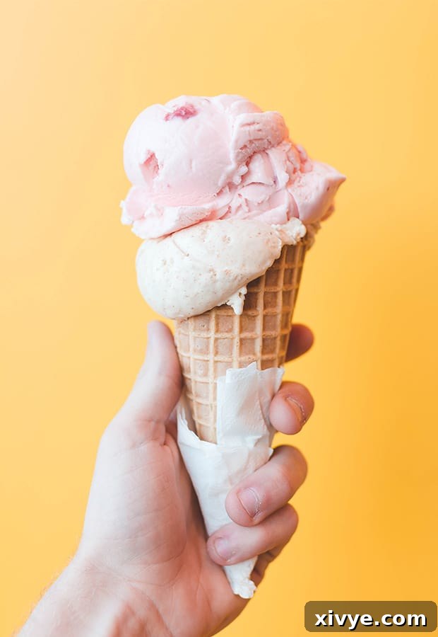 Hump Day Harmony 3 img 4654 2