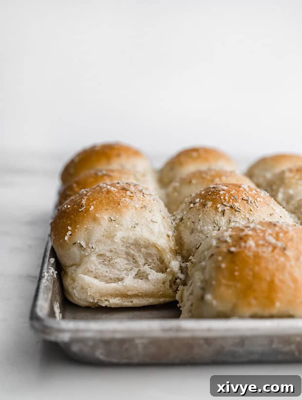 Irresistible Rosemary Garlic Parmesan Rolls 3 A side view of a fluffy homemade Rosemary dinner roll