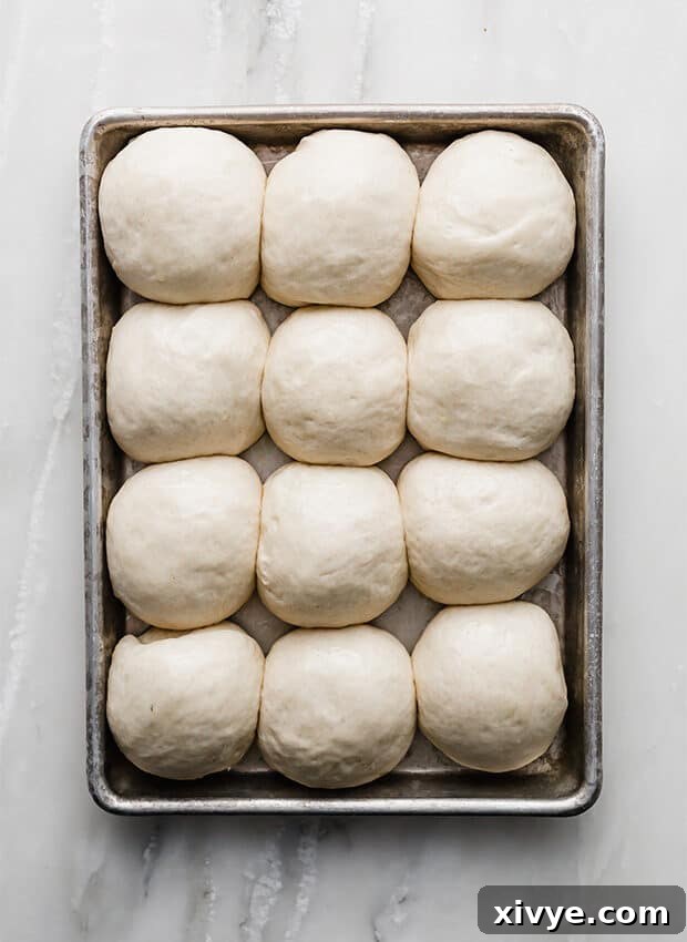 Irresistible Rosemary Garlic Parmesan Rolls 5 A baking sheet with unbaked dinner rolls spaced out for rising
