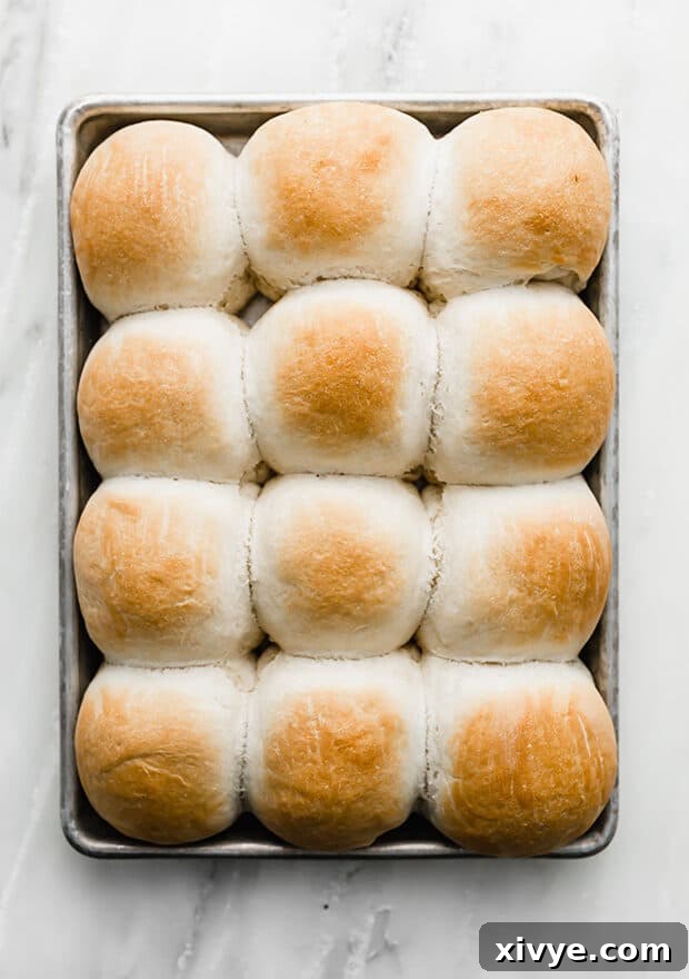 Irresistible Rosemary Garlic Parmesan Rolls 6 Overhead photo of golden brown dinner rolls topped with melted herb butter