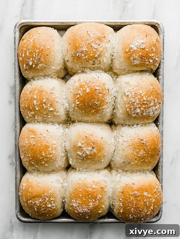 Irresistible Rosemary Garlic Parmesan Rolls 7 Freshly baked Rosemary Garlic and Parmesan butter covered dinner rolls on a serving plate