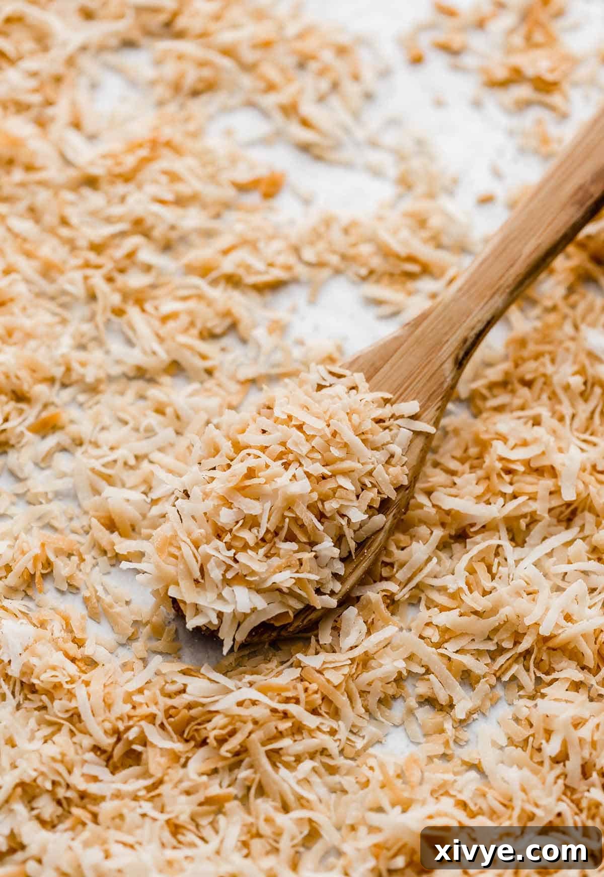 Toasted coconut on a wooden spoon, showcasing its golden brown perfection.