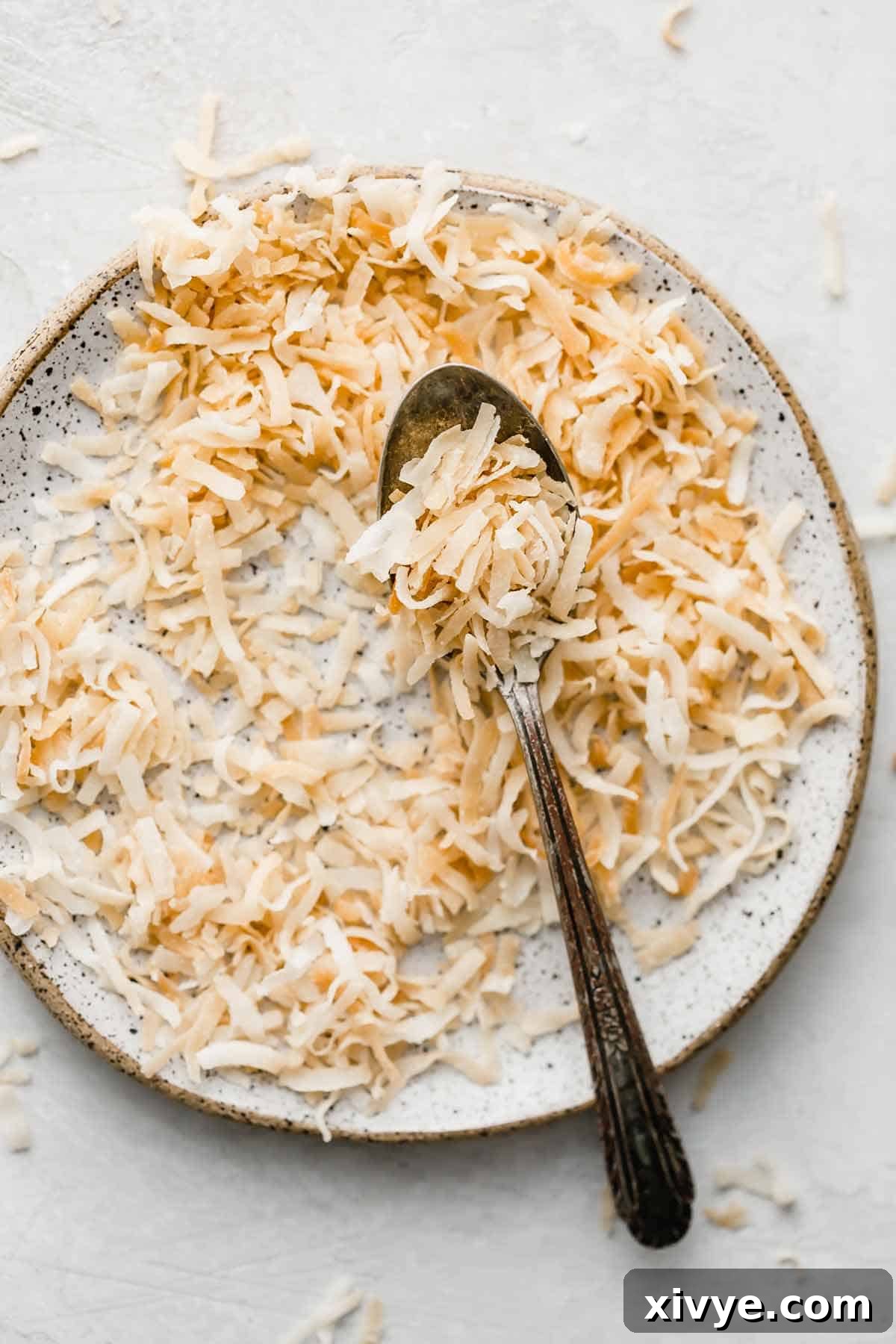A white plate elegantly topped with golden toasted coconut and a spoon, ready to be enjoyed.