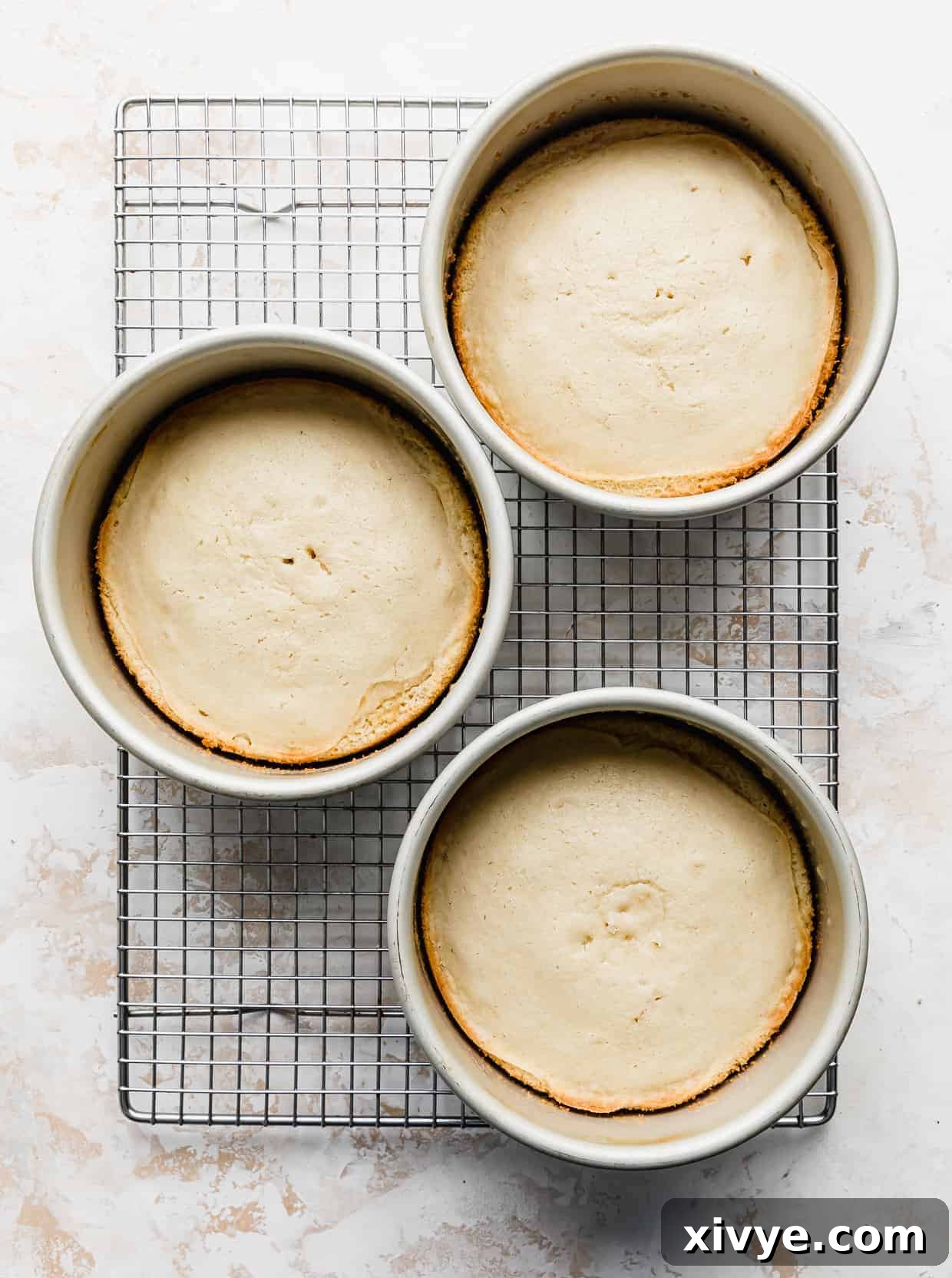 Three freshly baked vanilla cake rounds, still nestled in their pans, cooling gently on a wire rack after emerging from the oven.