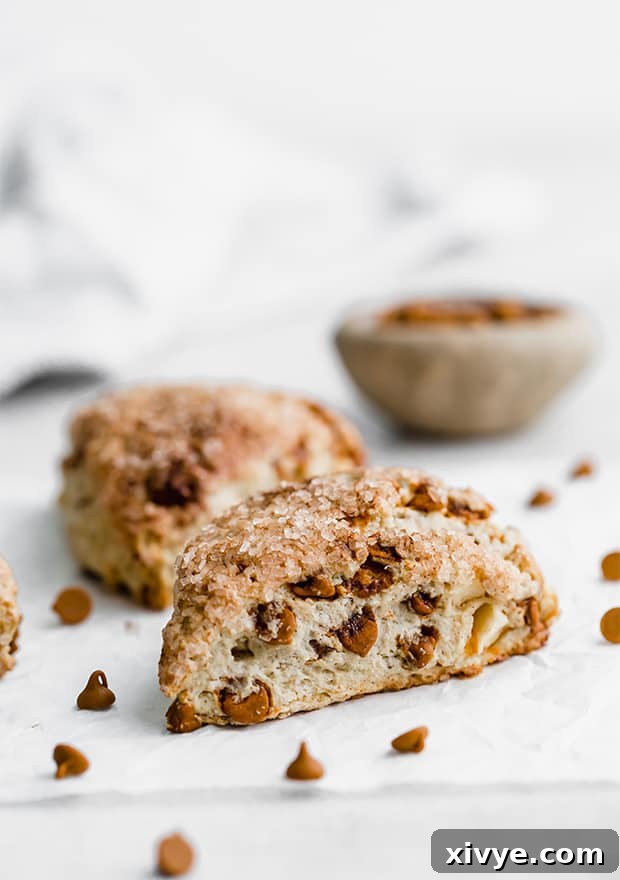 Warm Apple Cinnamon Scones 6 A close-up of a cinnamon chip studded apple cinnamon scone, showing its delicious texture.
