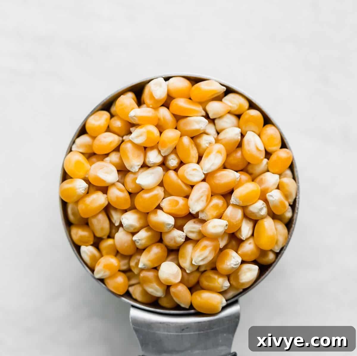 Popcorn kernels, unpopped, gathered in a small metal cup on a bright white background, ready for popping.