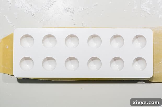 Mastering Ravioli Making 5 A ravioli mold and pasta dough.