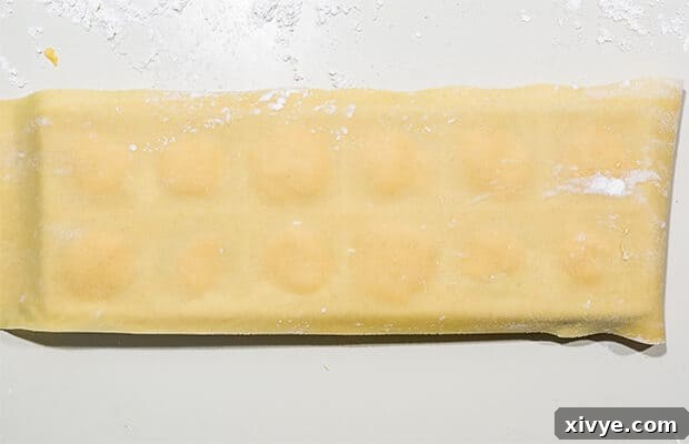 Mastering Ravioli Making 7 A sheet of ravioli dough covering the filled ravioli mold.