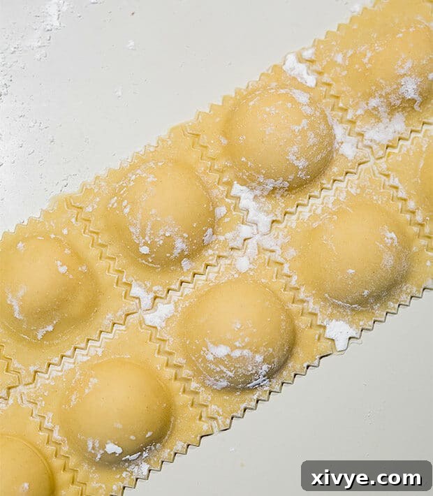 Mastering Ravioli Making 9 Freshly made and filled ravioli.
