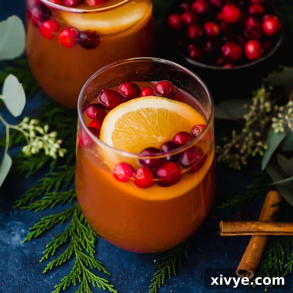 A clear glass cup filled with warm Cranberry Apple Cider, garnished with fresh cranberries and a slice of bright orange, ready to be enjoyed.